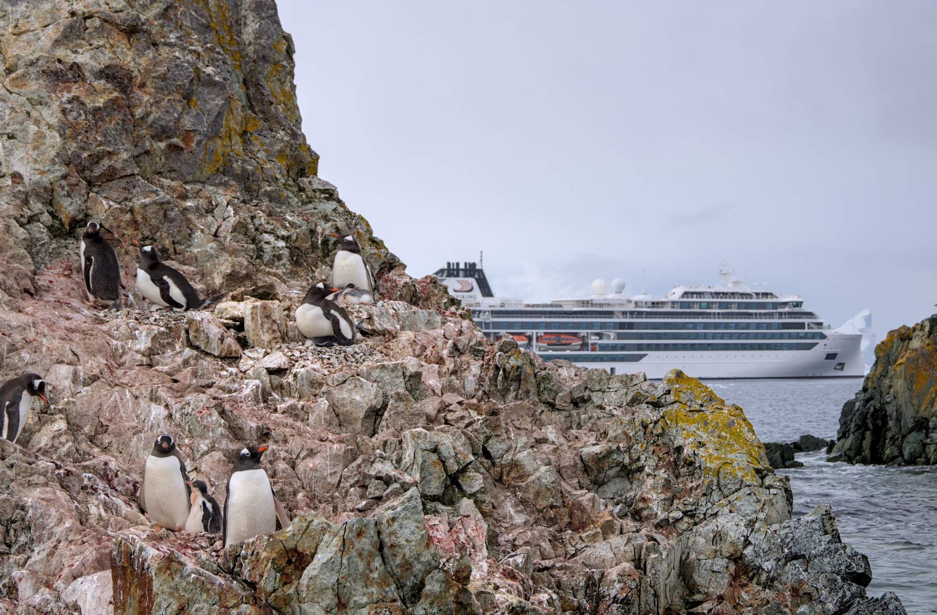 Українські полярники зі станції "Академік Вернадський" встановили рекорд