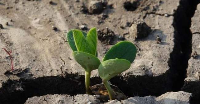 Фото: Міністерство економіки, довкілля та сільського господарства України