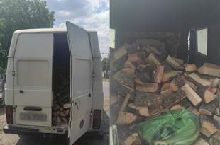 Група "чорних лісорубів" за участі поліцейського зрубала дерев "Укрзалізниці" на 7 мільйонів