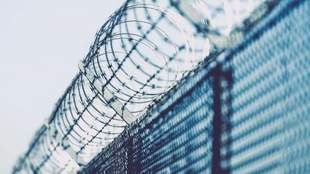 Руководителю предприятия при оккупантах на Николаевщине вынесли приговор