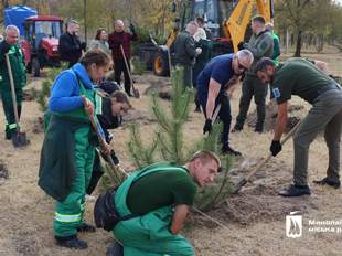 У Миколаєві пройшла акція з висадки дерев