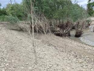 У Криму наближається водна криза: рівень водосховища впав на два метри