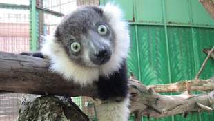 Директор николаевского зоопарка рассказал о вызовах 2024 года