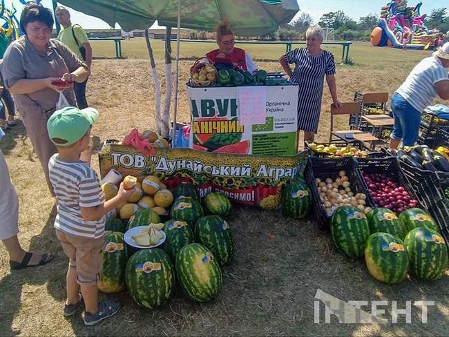 Фото: Інтент/Антоніна Лубченко