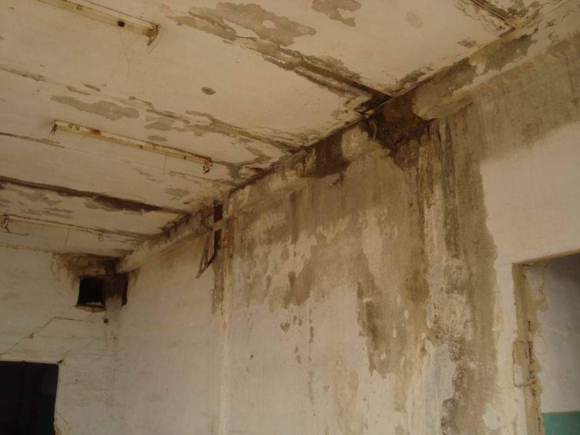 Куда предлагают переселить одесский архив