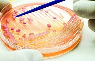 Кількість постраждалих від десерту "Тирамісу" збільшилася