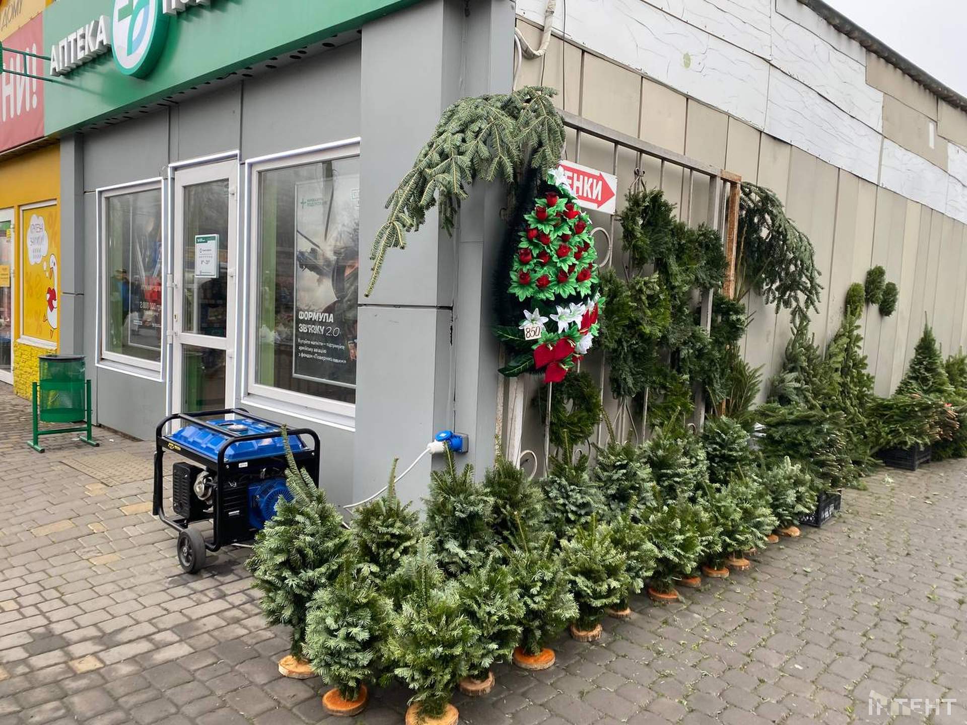 Одеса зазеленіла ялинковими базарами