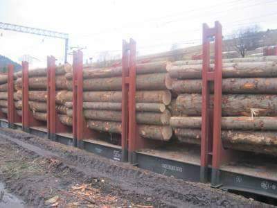 Нардеп рассказал о схеме вывоза украинского леса-кругляка черед порт в Одесской области