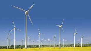 Construction of wind farms planned in nine communities of Odesa region