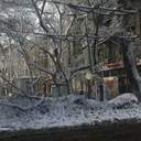 Повалені дерева та засніжена Одеса у світлинах Інтента
