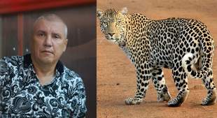 Leopard killing and third return of ex-military commander of Odesa region to prison: highlights of the week