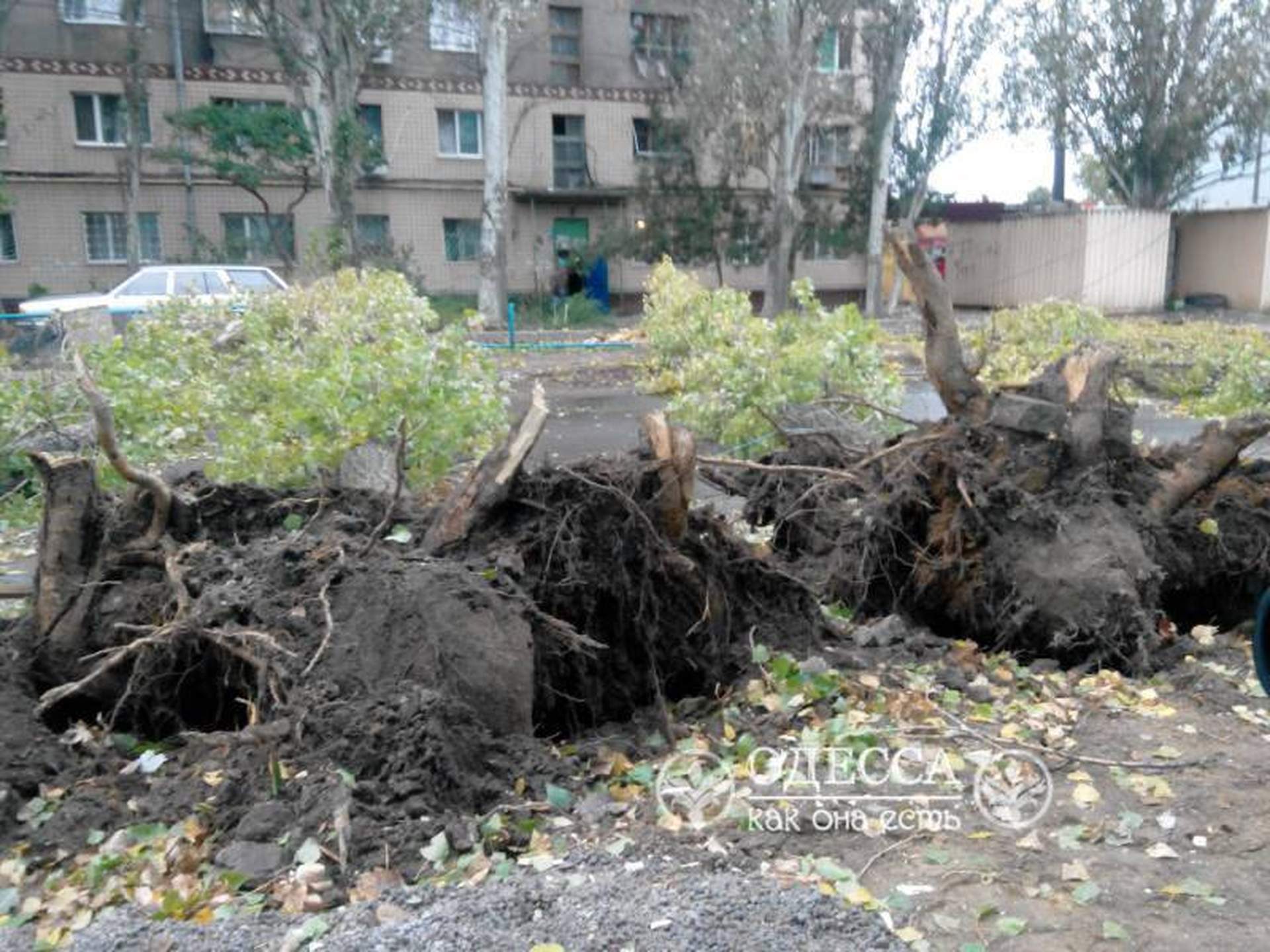 Одесский ураган: поломанные деревья и упавший кран  