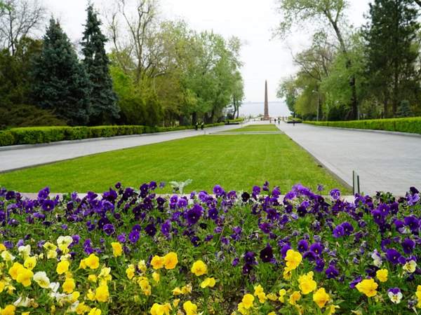 Фото: Одеська РВА