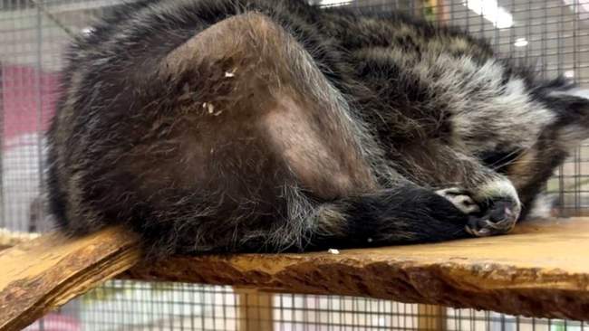 ФОТО: Общественное Одесса/Ольга Глечик