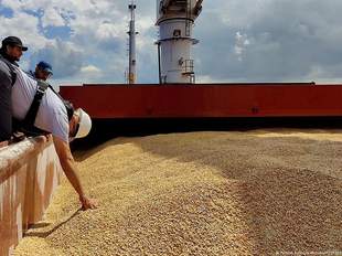 Кількість суден у портах Великої Одеси зменшилася через саботаж росії "зернової інаціативи"