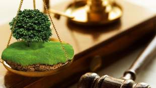 100 миллионов от аграриев: земля на Николаевщине оказалась самой дорогой