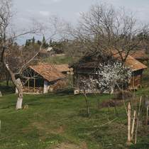 Tarutin