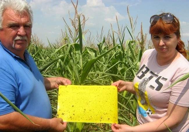 Фото: Держпродспоживслужба.