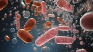 На Одещині спостерігають зниження гострих кишкових інфекцій