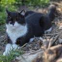 На одеські пляжі прийшла друга воєнна весна