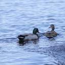 На одеські пляжі прийшла друга воєнна весна