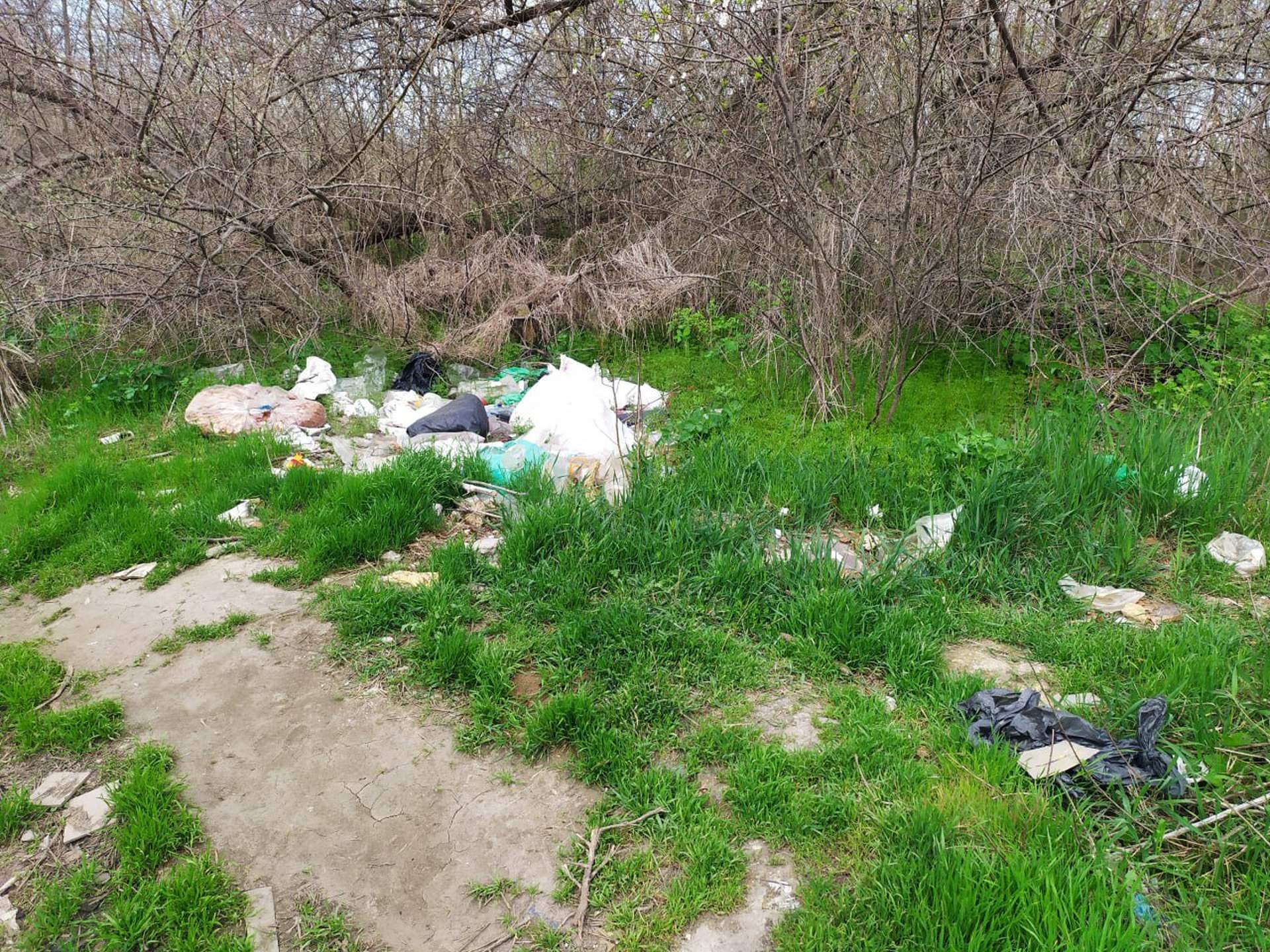 В Одесі виявили незаконне сміттєзвалище