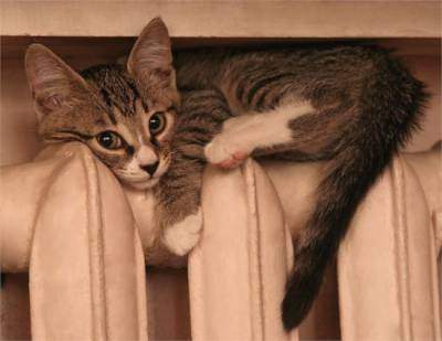 Начало отопительного сезона в Одессе растянется на полторы-две недели