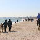 Первые выходные весны одесситы проводят у моря