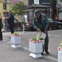 Простір для прогулянок: як виглядає пішохідна зона в центрі Одеси