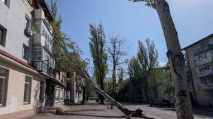 Потужний вітер знеструмив частину Миколаївщини