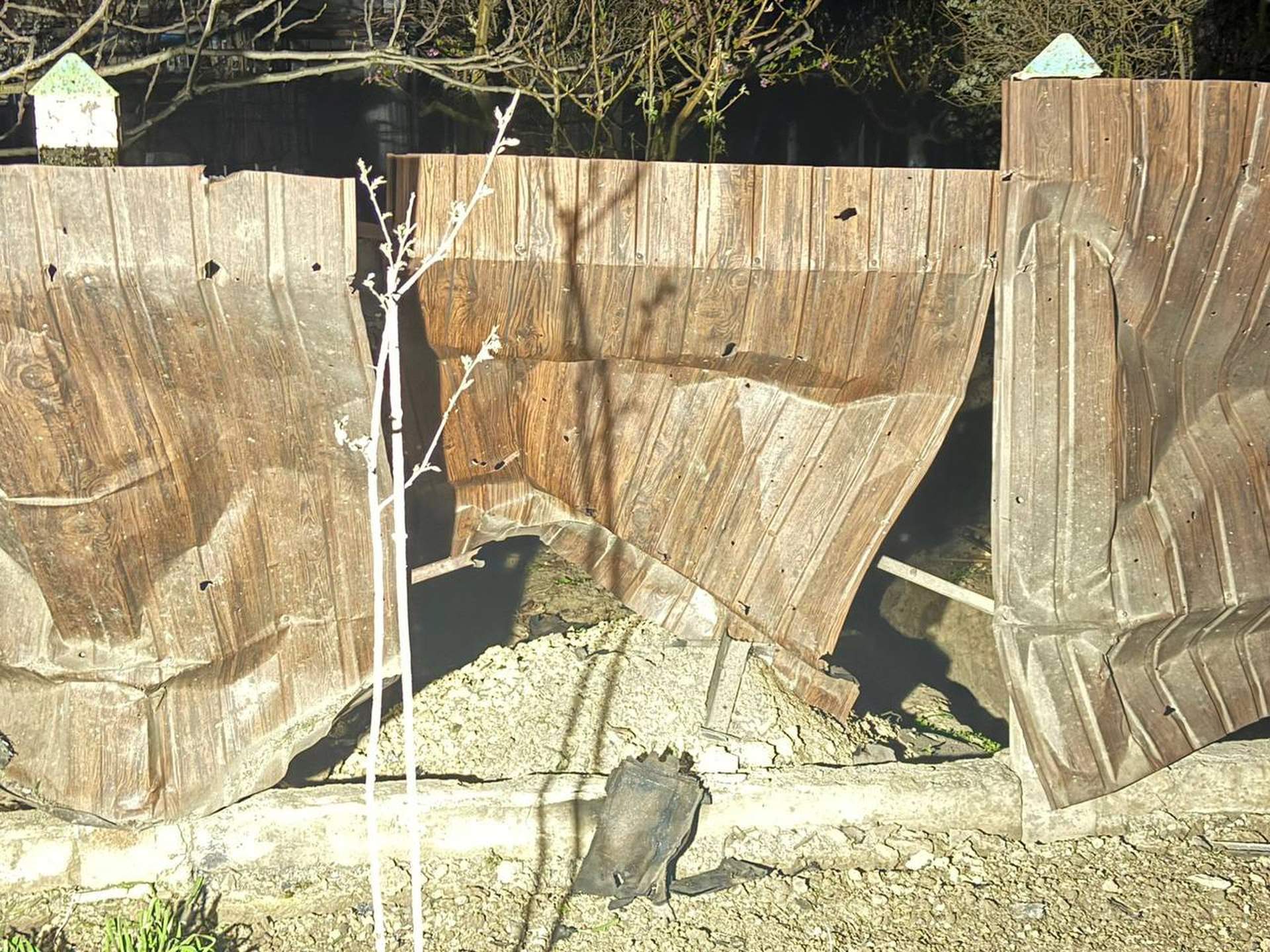 Дрони спричинили пожежі в порту та заповіднику на Дунаї