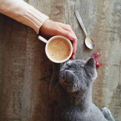 Утренний кофе от ИзбирКома: 16 апреля