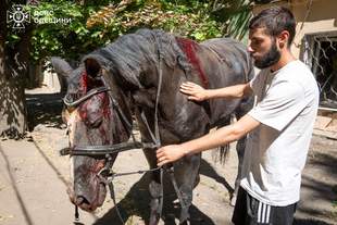 Количество пострадавших от российской атаки в Одессе возросло