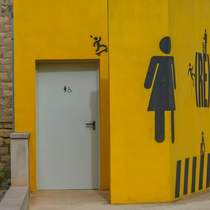 disability