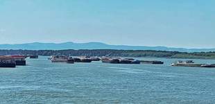 Звільнення острова Зміїний заощаджує бізнесу щонайменше 500 тисяч доларів на добу