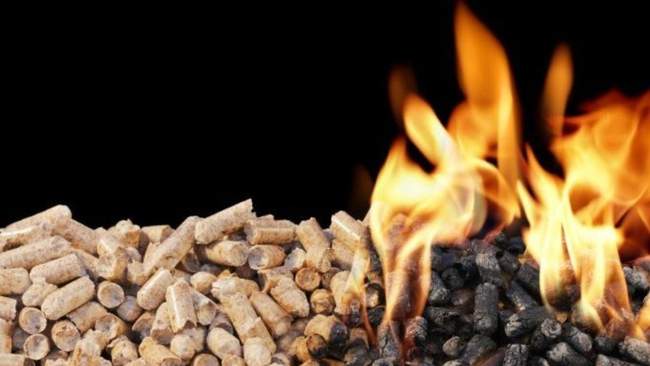 Fuel pellets. PHOTO: produkraine.org