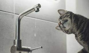 Приморський район Одеси залишився без водопостачання через аварію