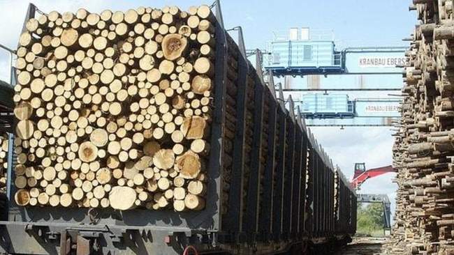 PHOTO: agropolit.com