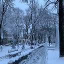 Одесу завалює снігом