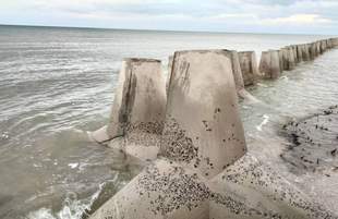 Defense tetrapods washed away into the sea on the territory of Tuzly estuaries