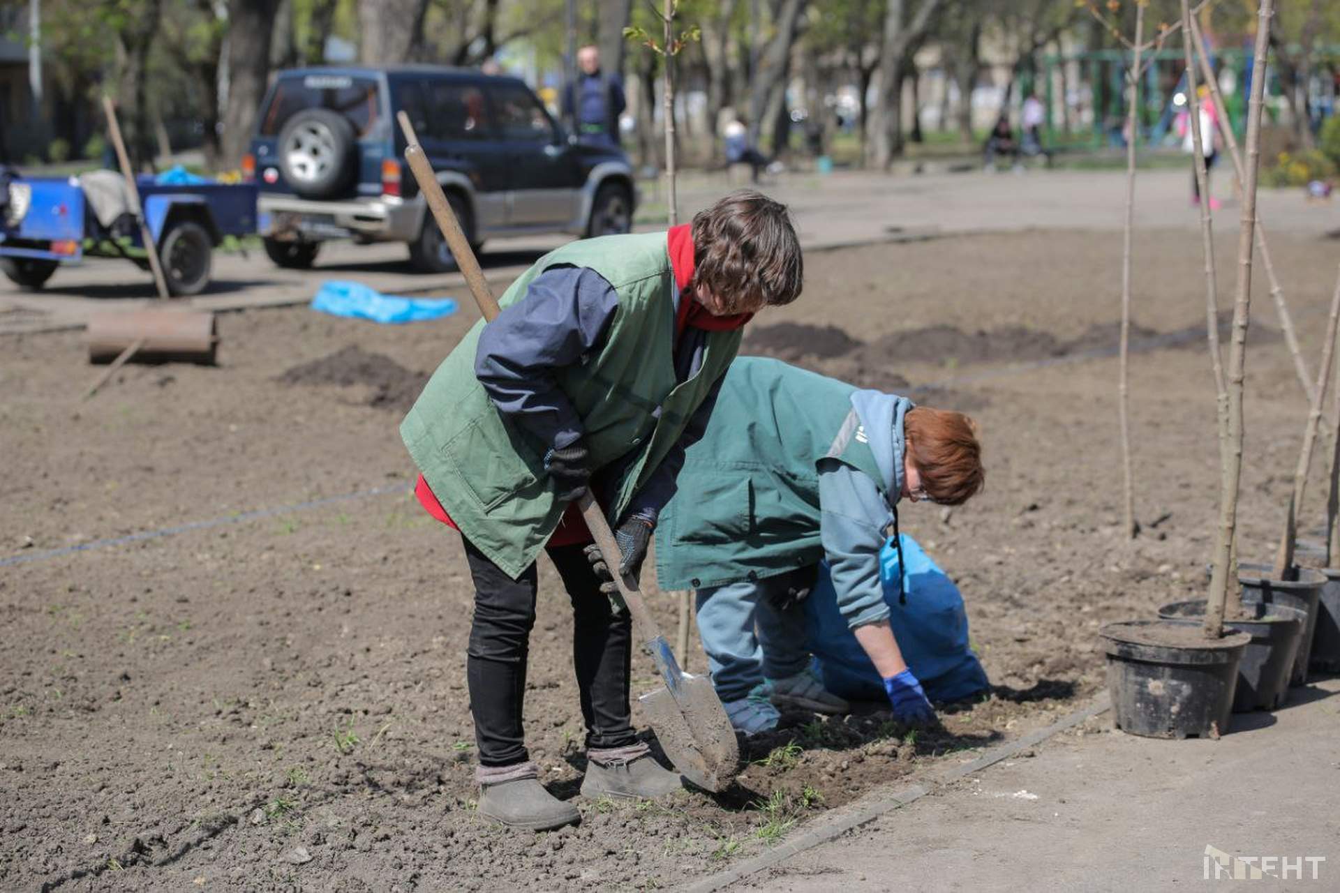 В Одесі висадили алею кленів в пам'ять Праведників світу