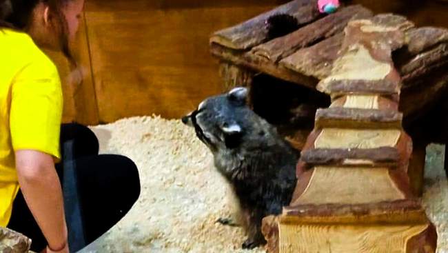 ФОТО: Государственная экологическая инспекция Юго-Западного округа