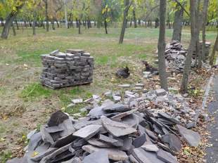 У Миколаївському парку невідомі завдали шкоди екології на понад півтора мільйона