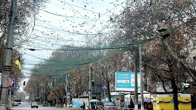 Фото: 5 канал