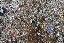 garbage