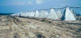 400 мільйонів отримує Миколаївщина та Херсонщина на зведення фортифікацій