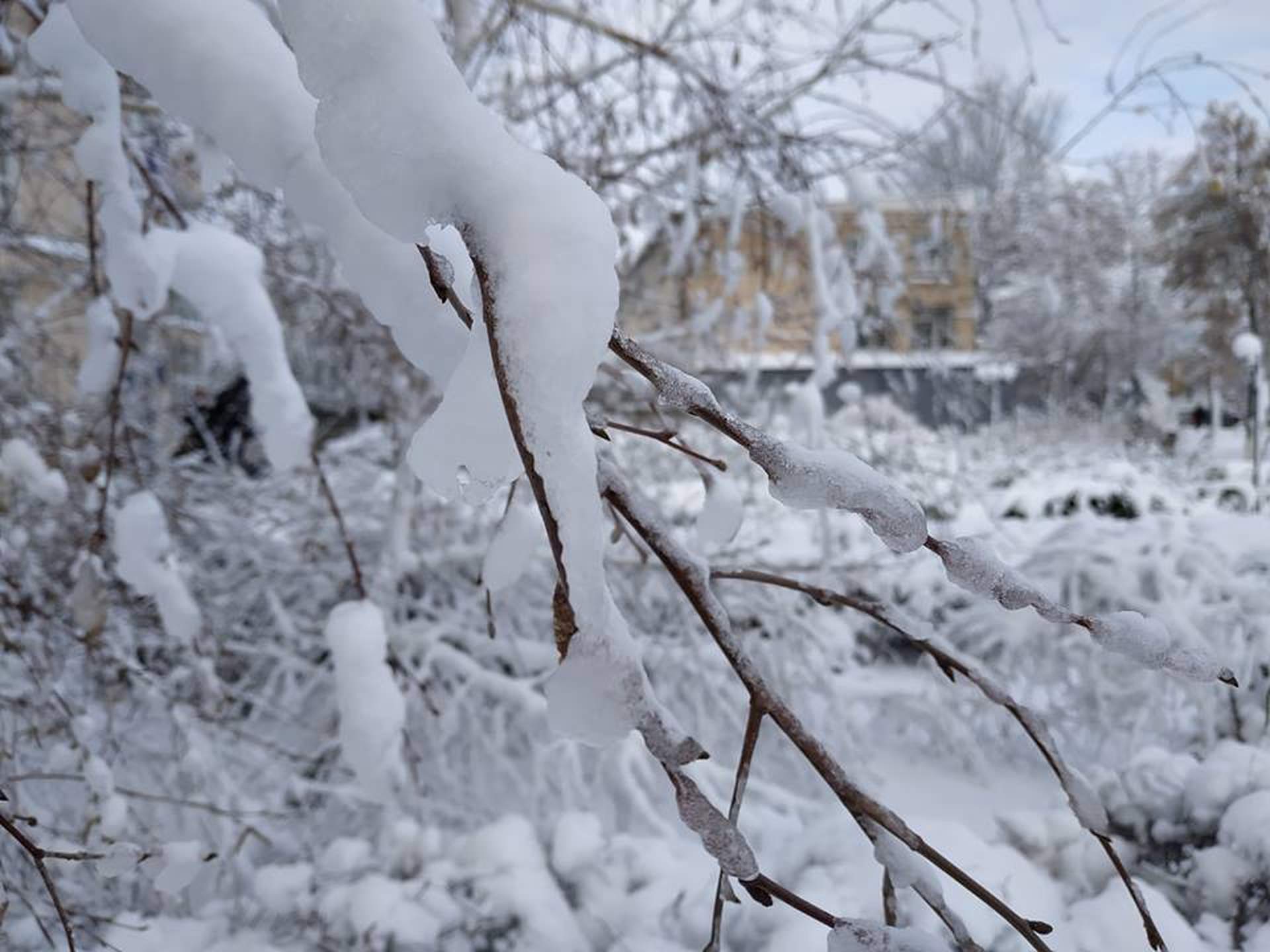 На север Одесской области пришла зима