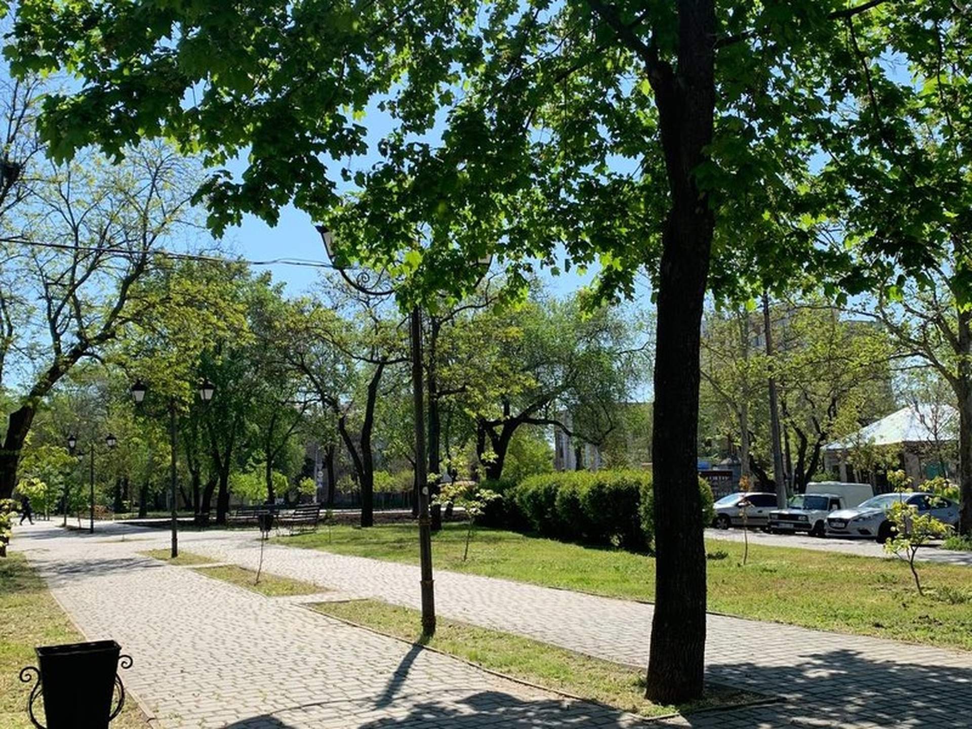 У Миколаєві стартувала масштабна толока