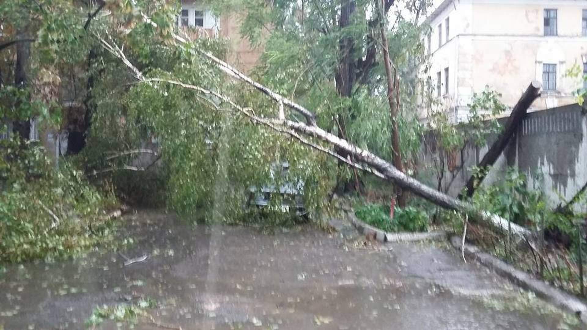 Одесский ураган: поломанные деревья и упавший кран  