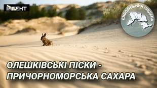 Дивовижний Південь: Олешківські піски - причорноморська Сахара